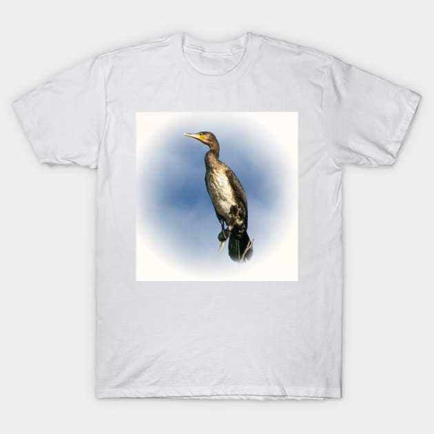 Cormorant T-Shirt by Guardi